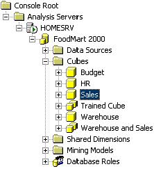 OLAP in ASP.NET